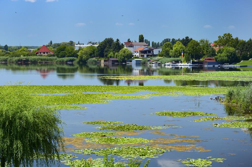 Vila Maria Snagov Hotel Eksteriør billede