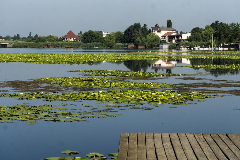 Vila Maria Snagov Hotel Eksteriør billede